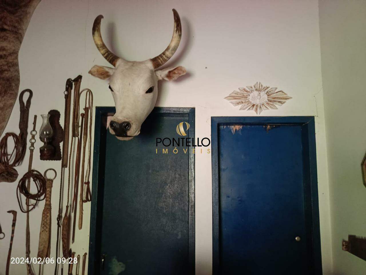 Chácara, 3 quartos, 204 hectares - Foto 8