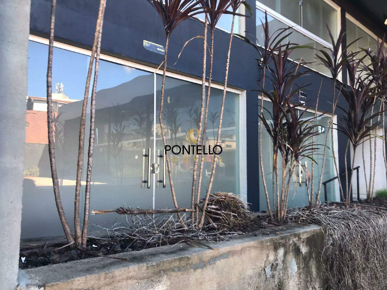 Loja-Salão, 337 m² - Foto 13