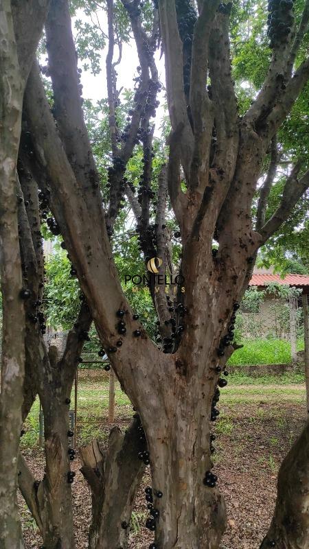 Terreno, 568 m² - Foto 3