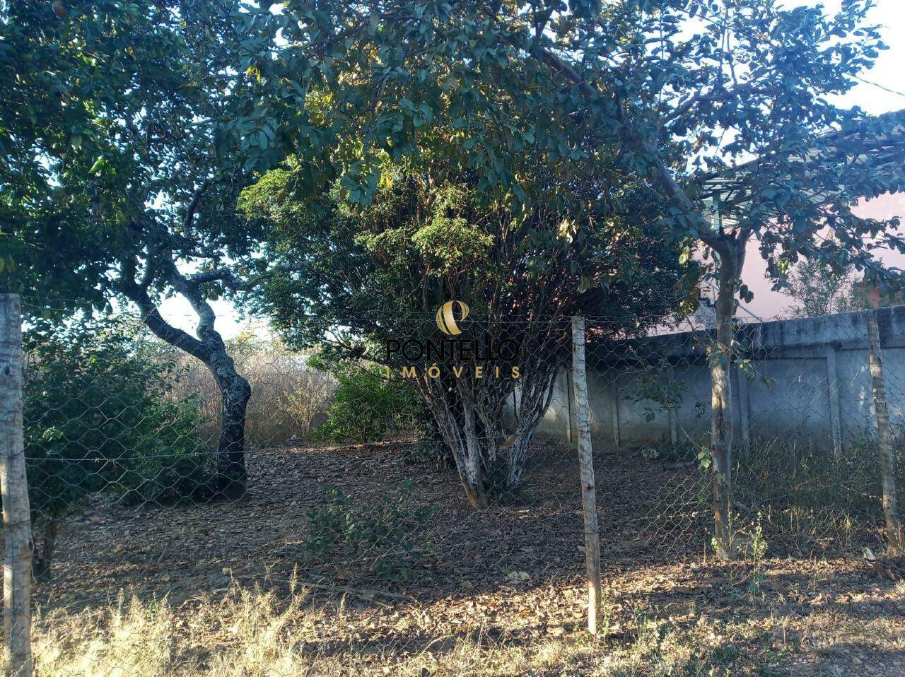 Terreno, 568 m² - Foto 1