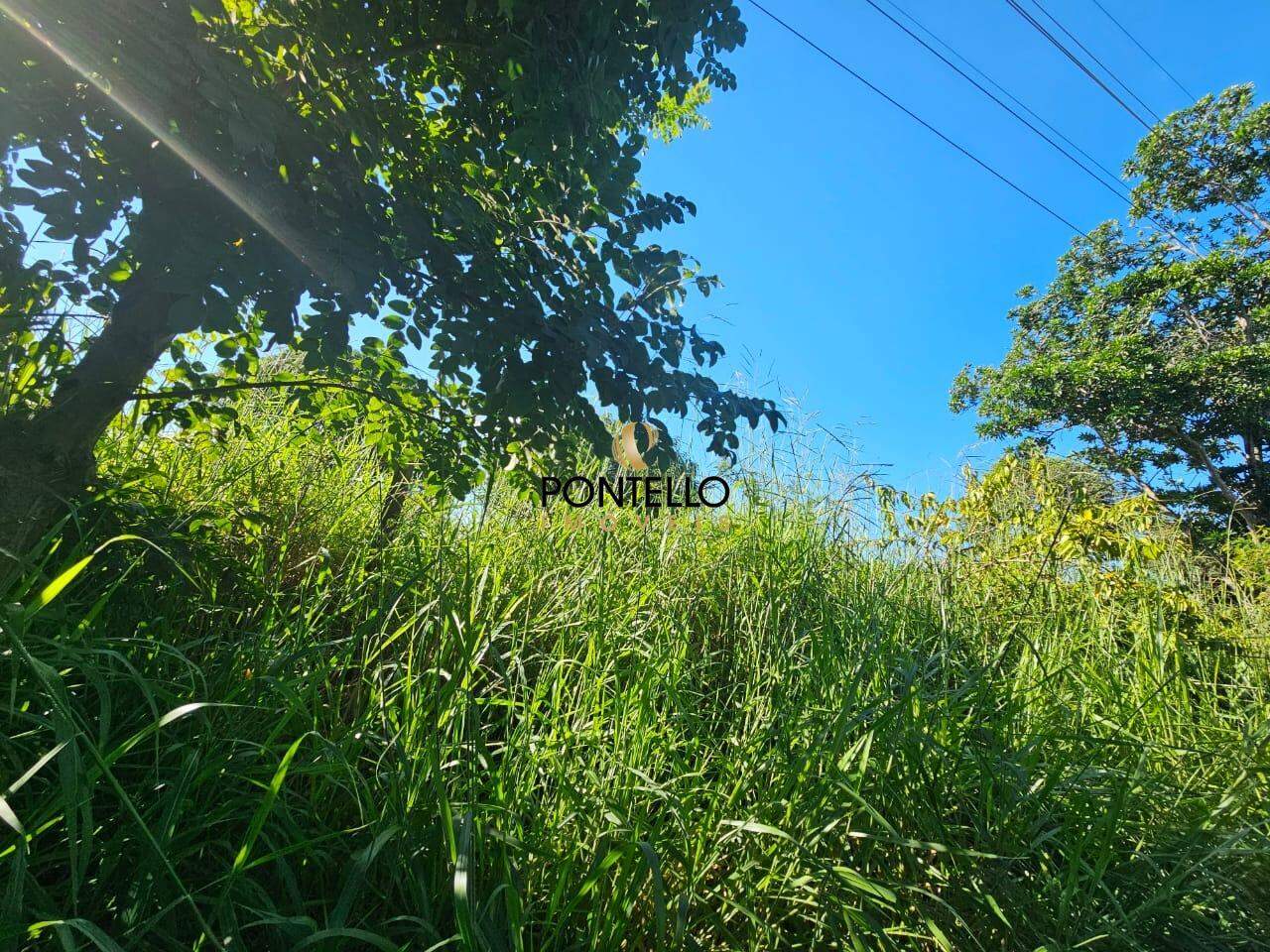 Terreno, 360 m² - Foto 4
