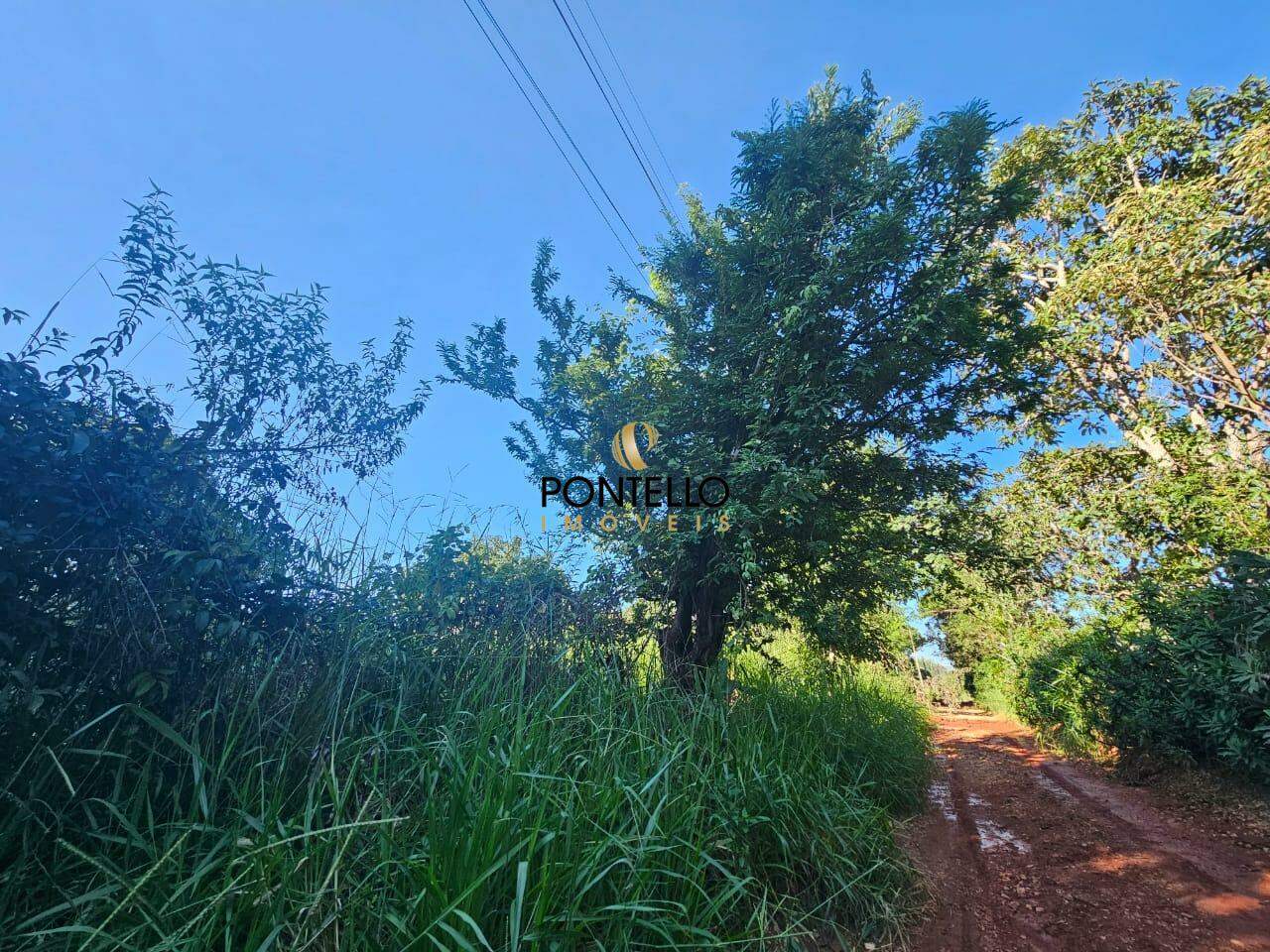 Terreno, 360 m² - Foto 3