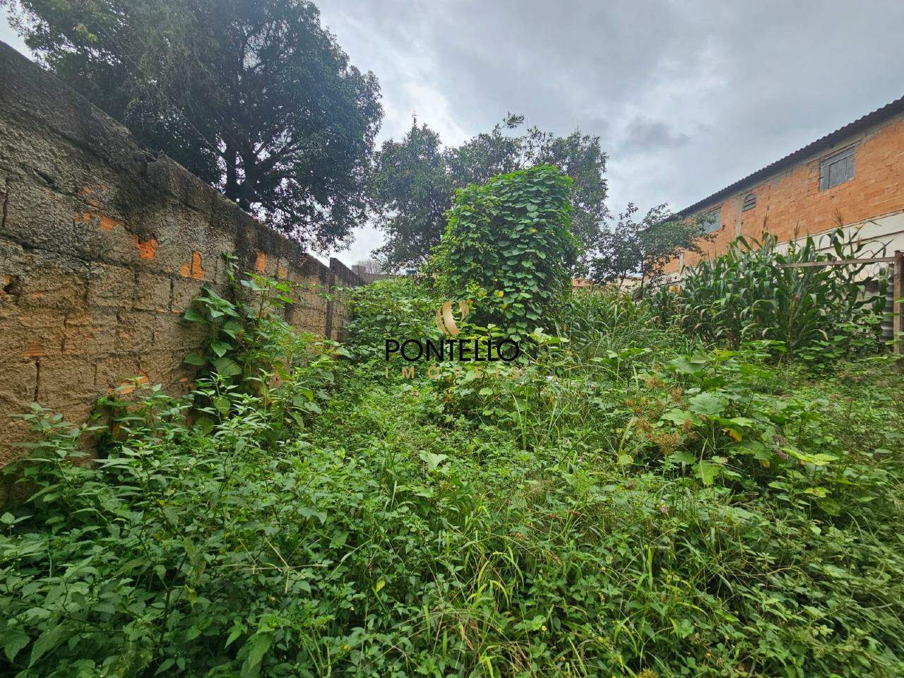 Terreno, 360 m² - Foto 6