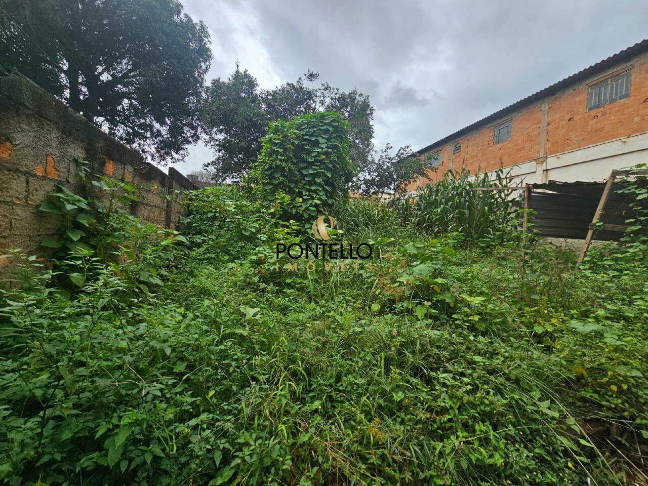 Terreno, 360 m² - Foto 5