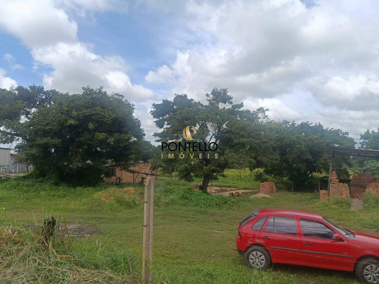 Terreno, 2 hectares - Foto 4