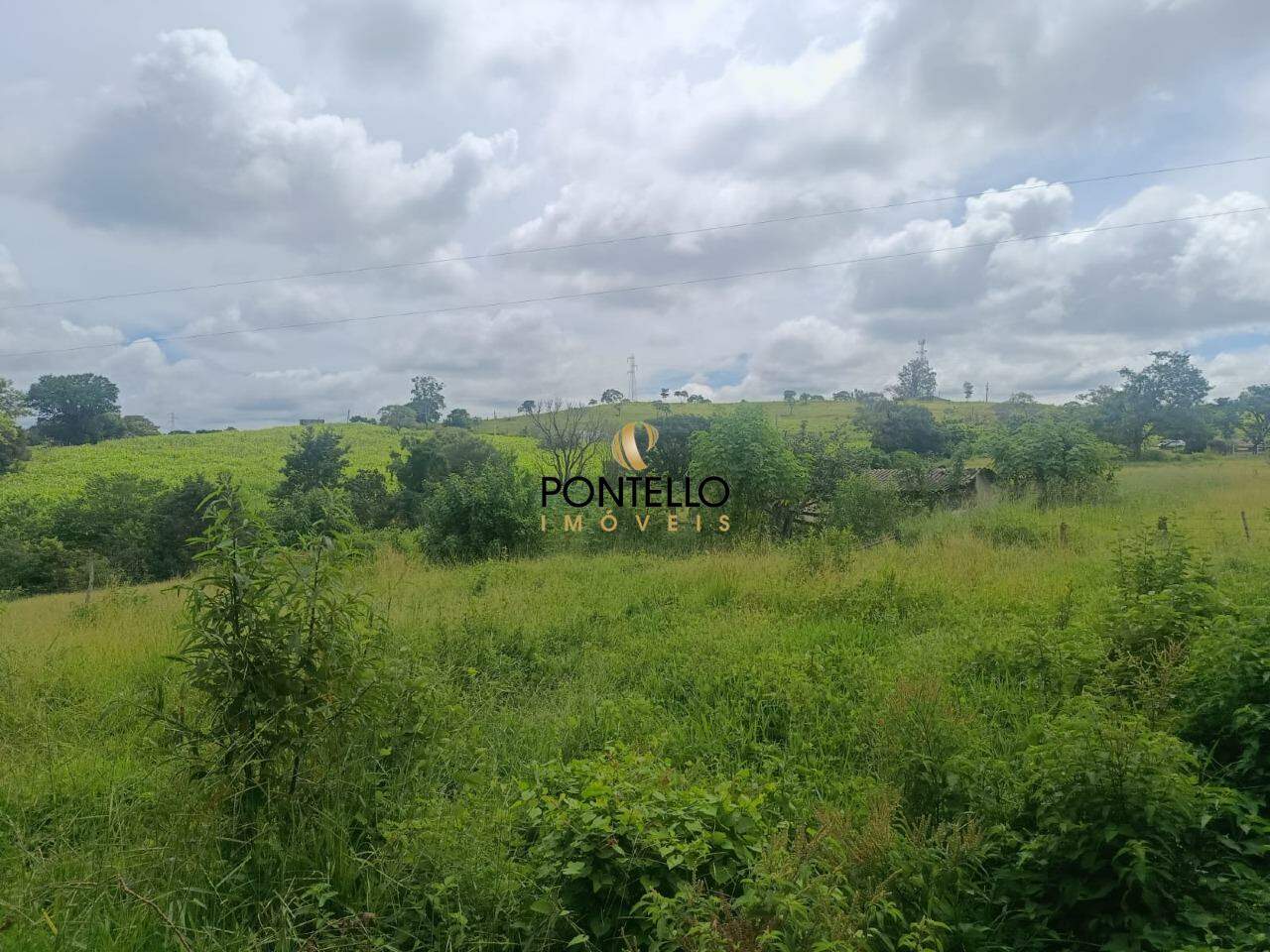 Terreno, 2 hectares - Foto 3