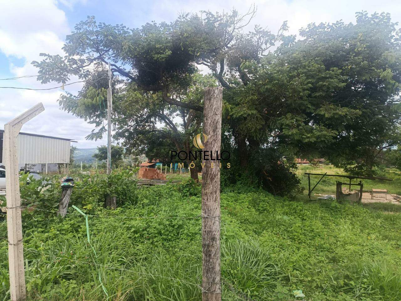 Terreno, 2 hectares - Foto 7