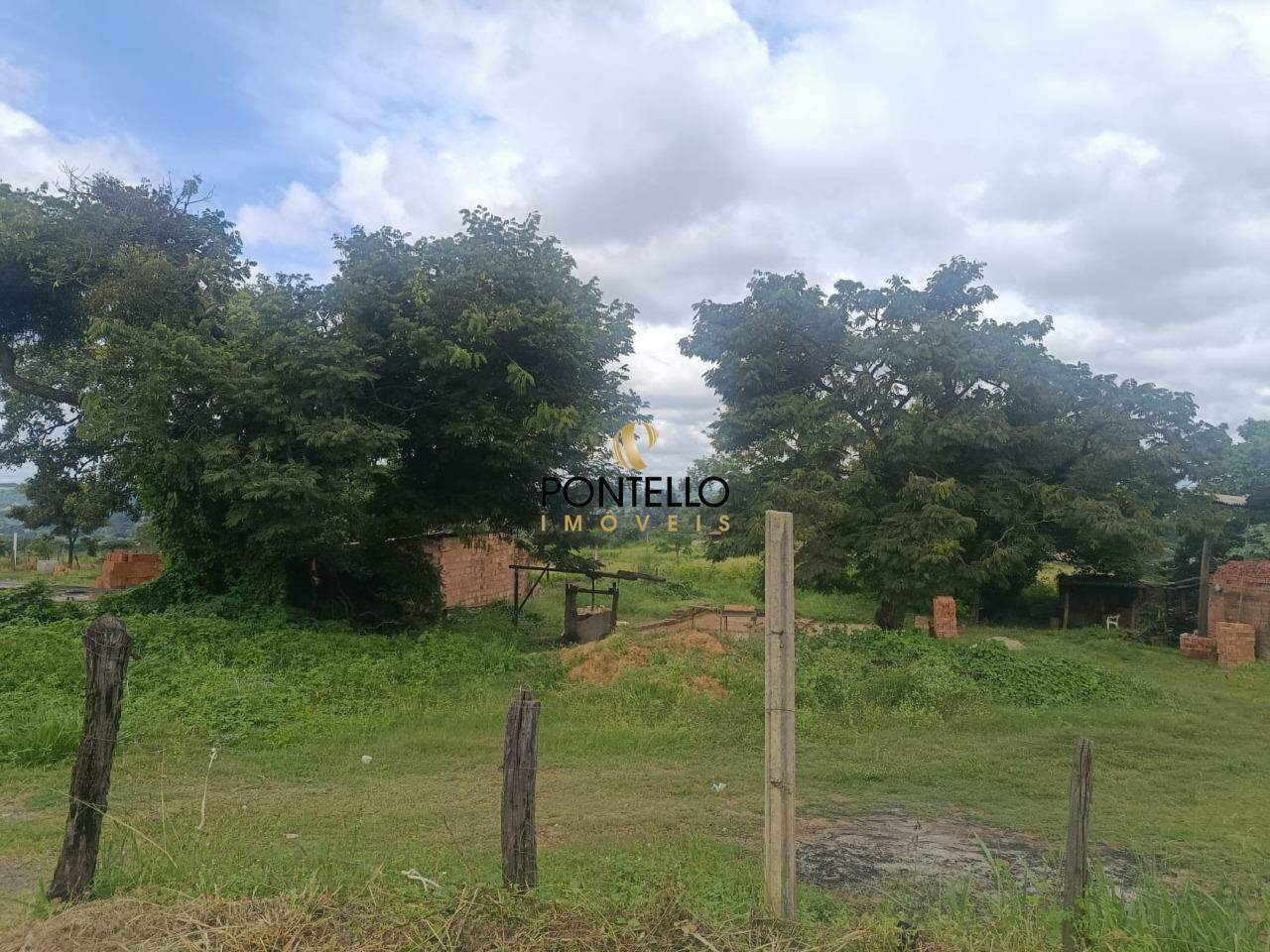 Terreno, 2 hectares - Foto 6