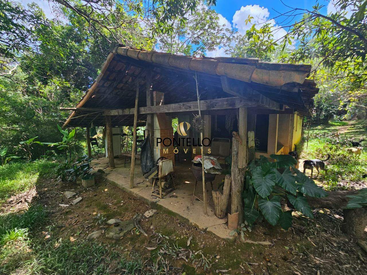 Chácara, 1 quarto, 5 hectares - Foto 16