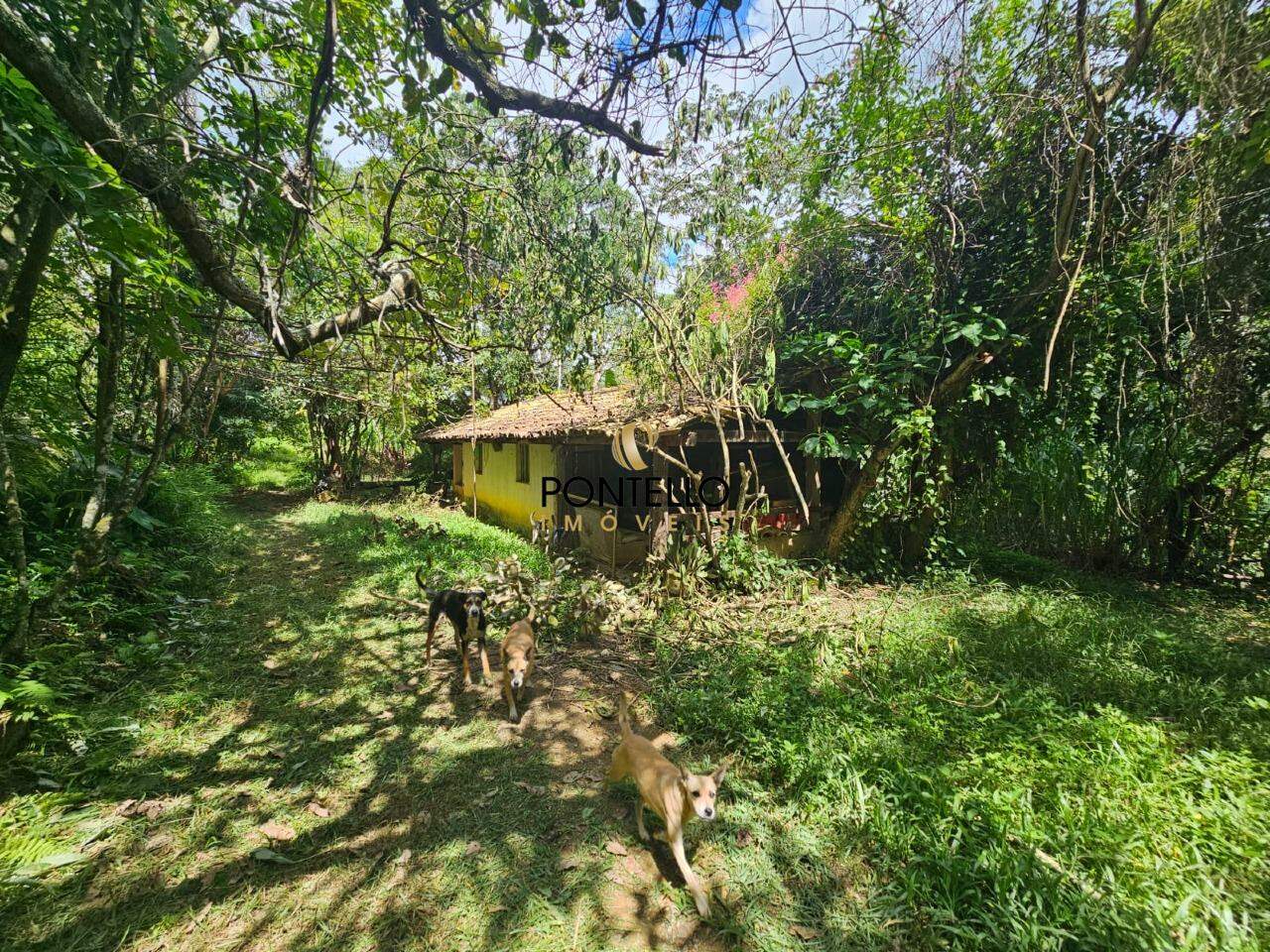 Chácara, 1 quarto, 5 hectares - Foto 15