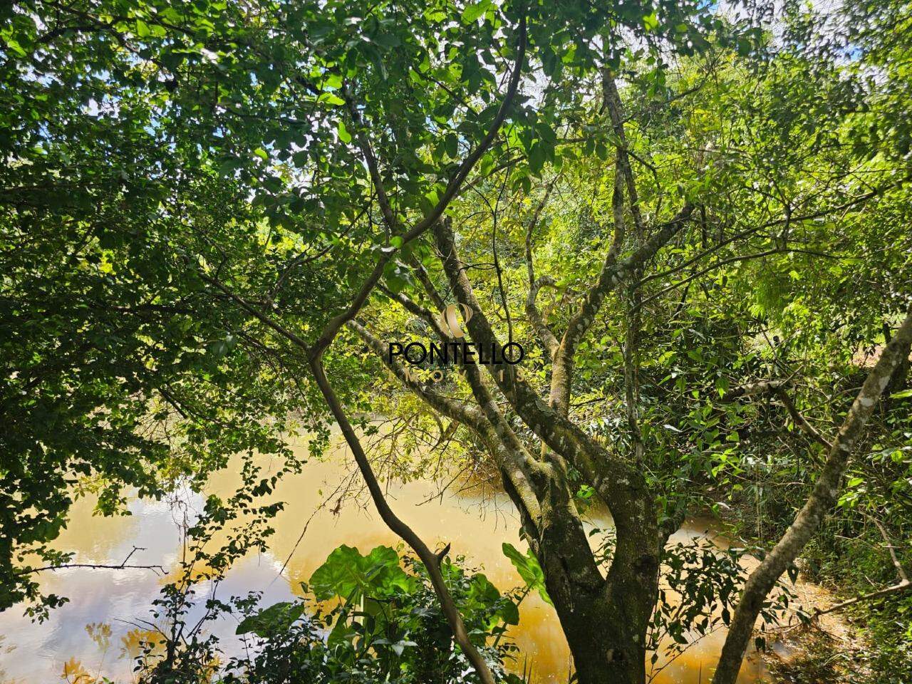 Chácara, 1 quarto, 5 hectares - Foto 9
