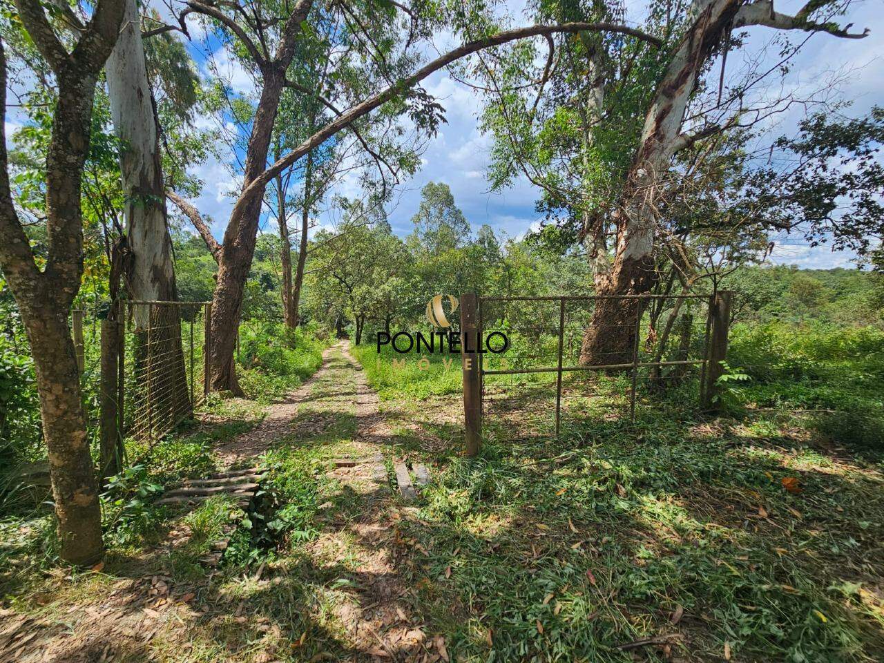 Chácara, 1 quarto, 5 hectares - Foto 1
