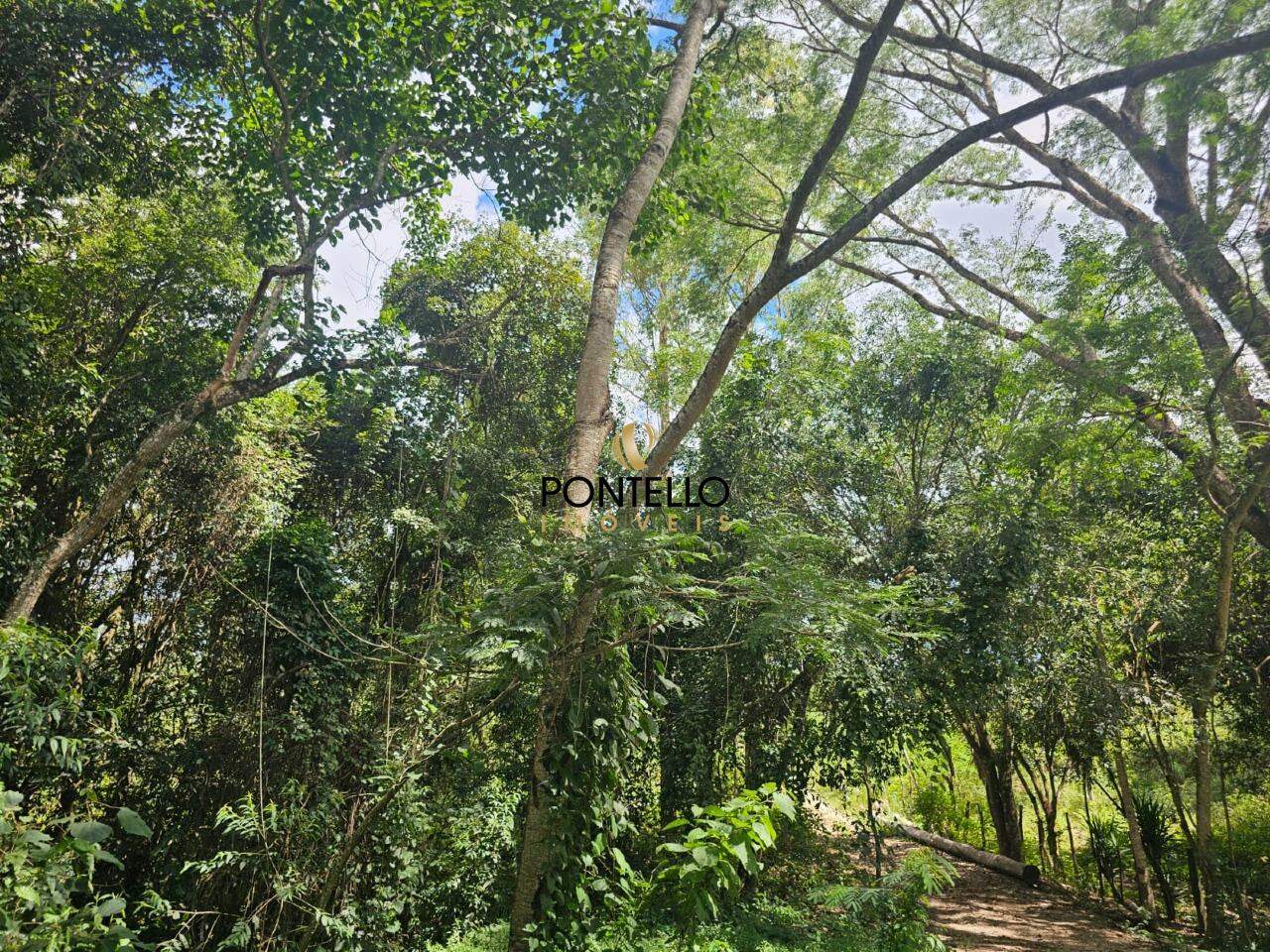 Chácara, 1 quarto, 5 hectares - Foto 13