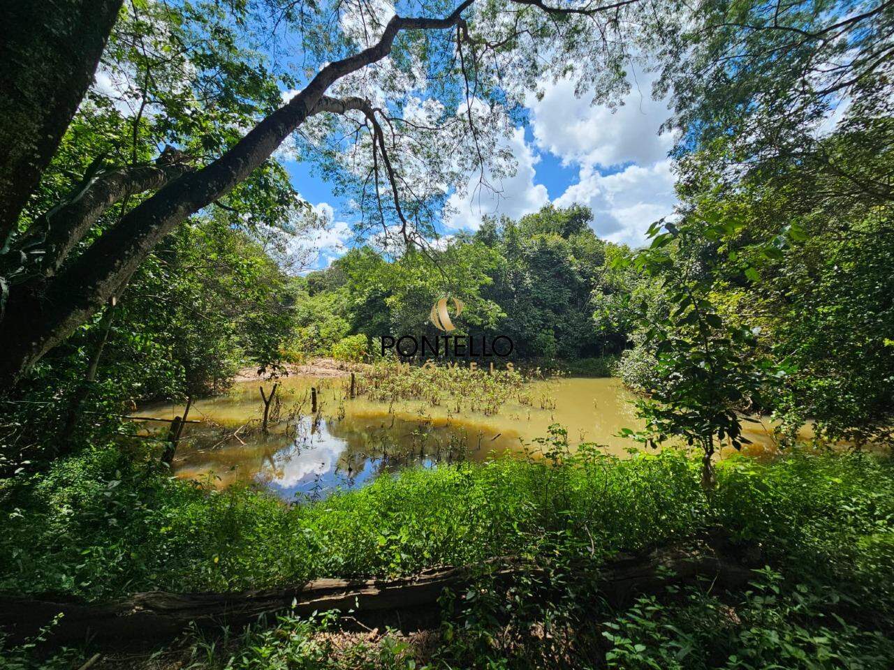 Chácara, 1 quarto, 5 hectares - Foto 18