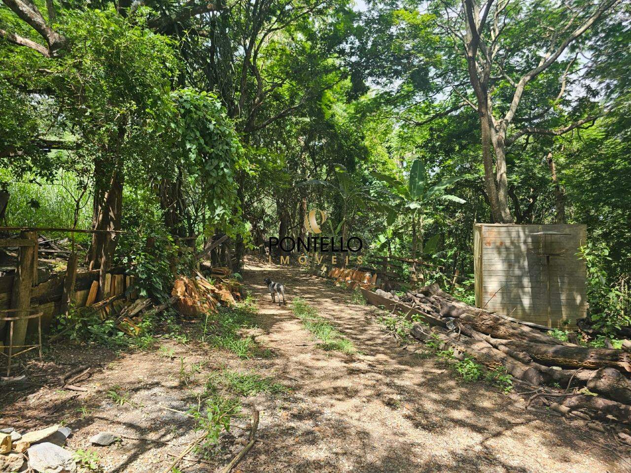 Chácara, 1 quarto, 5 hectares - Foto 6