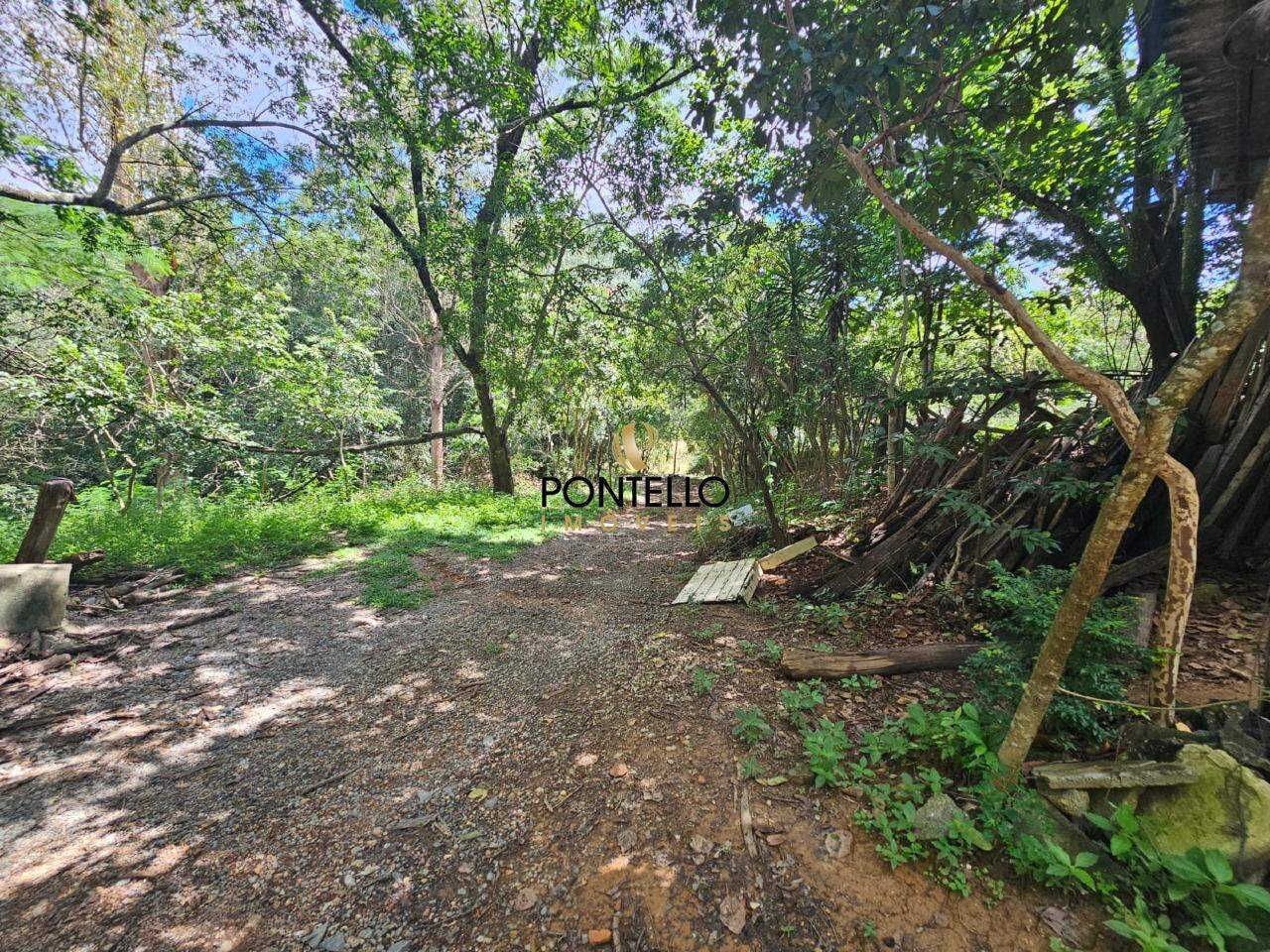 Chácara, 1 quarto, 5 hectares - Foto 3