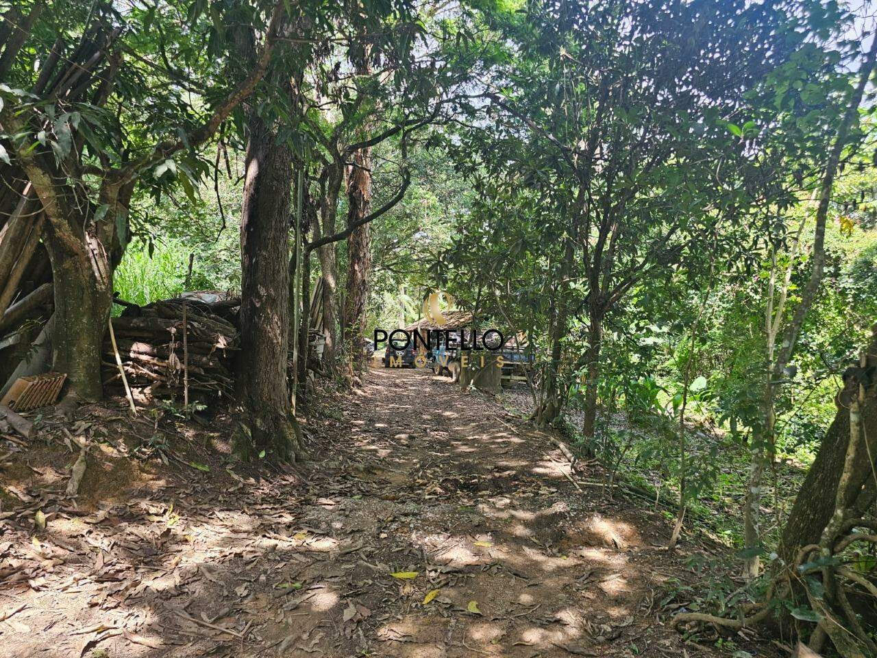 Chácara, 1 quarto, 5 hectares - Foto 12