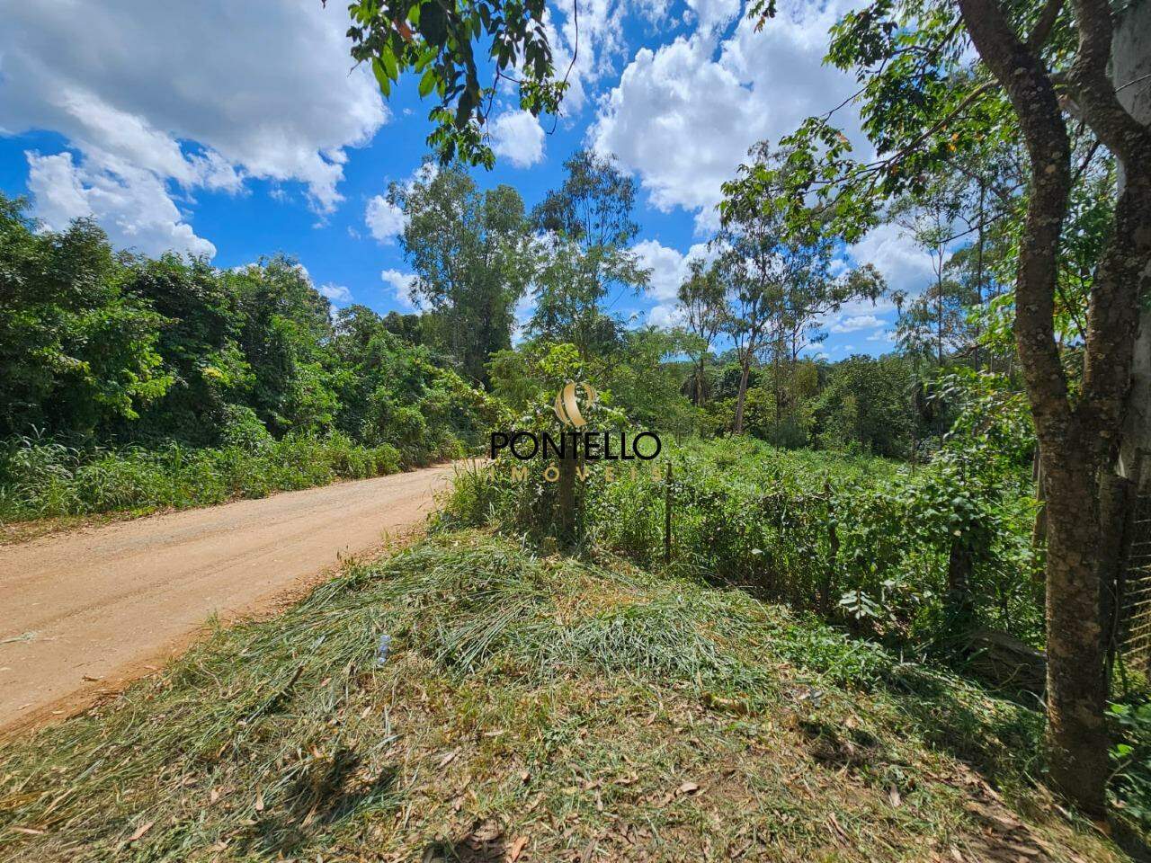 Chácara, 1 quarto, 5 hectares - Foto 2