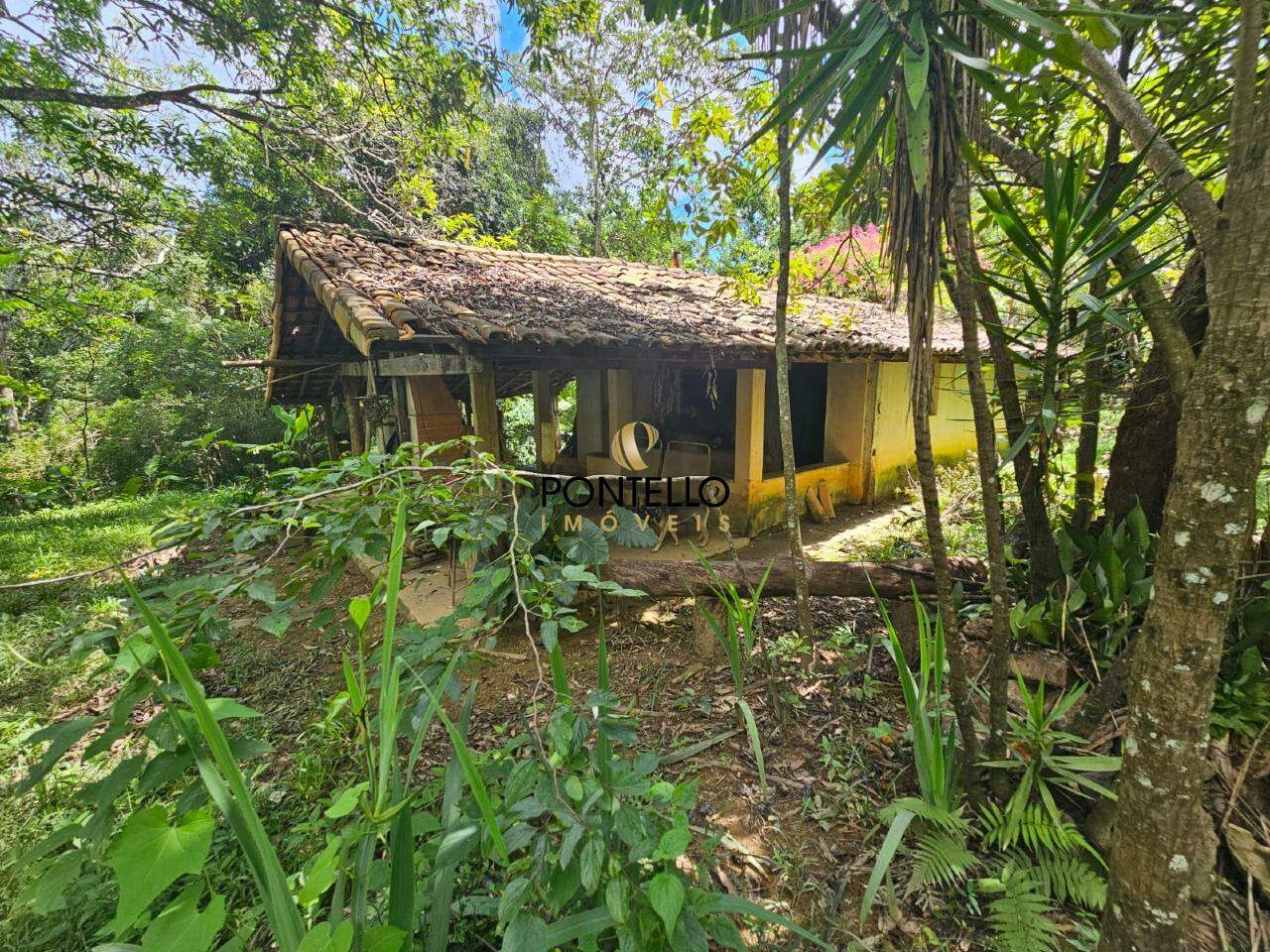 Chácara, 1 quarto, 5 hectares - Foto 17