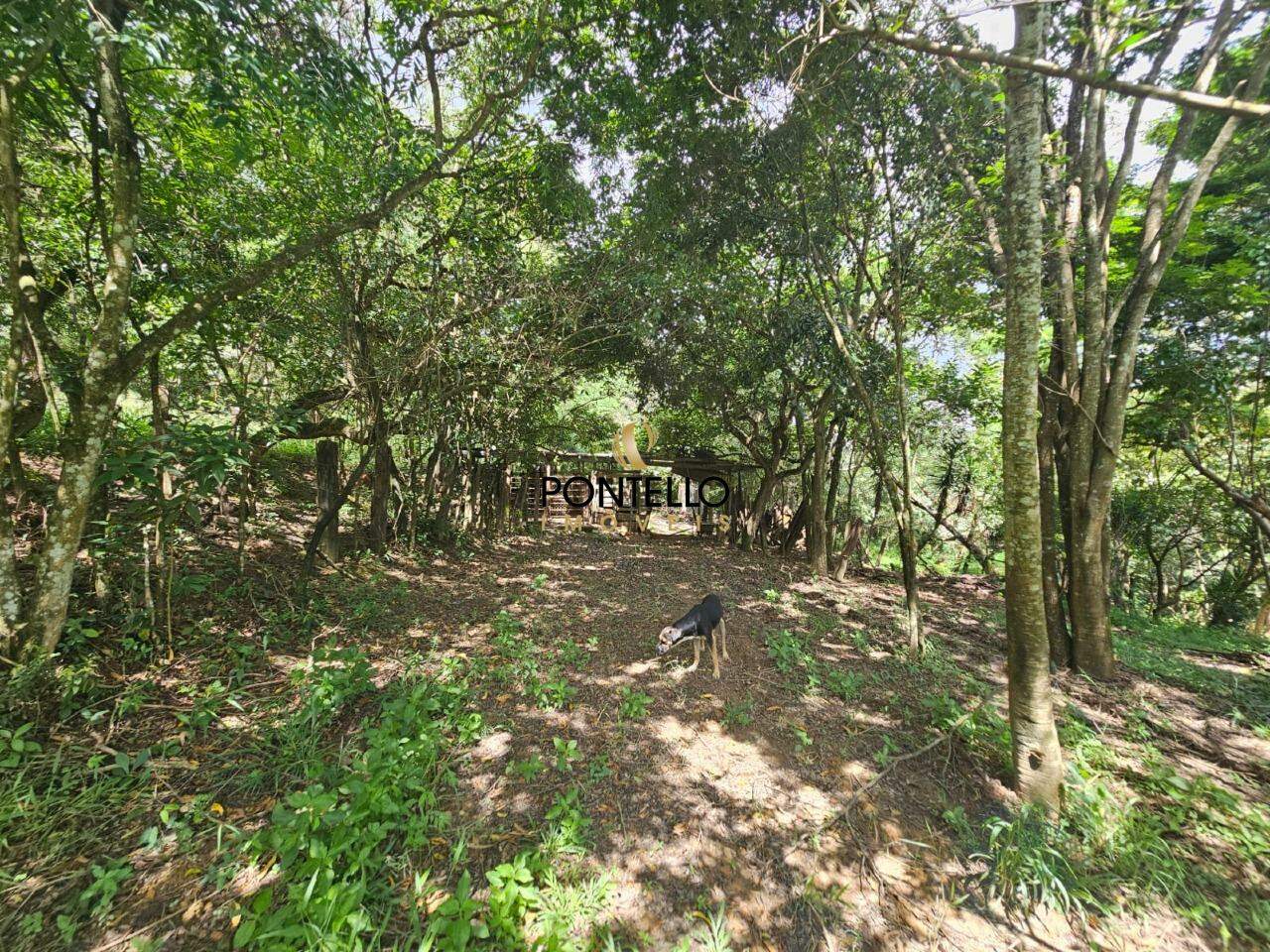 Chácara, 1 quarto, 5 hectares - Foto 11