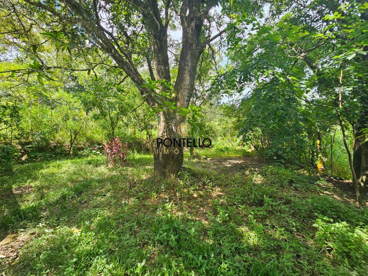 Chácara, 1 quarto, 5 hectares - Foto 14