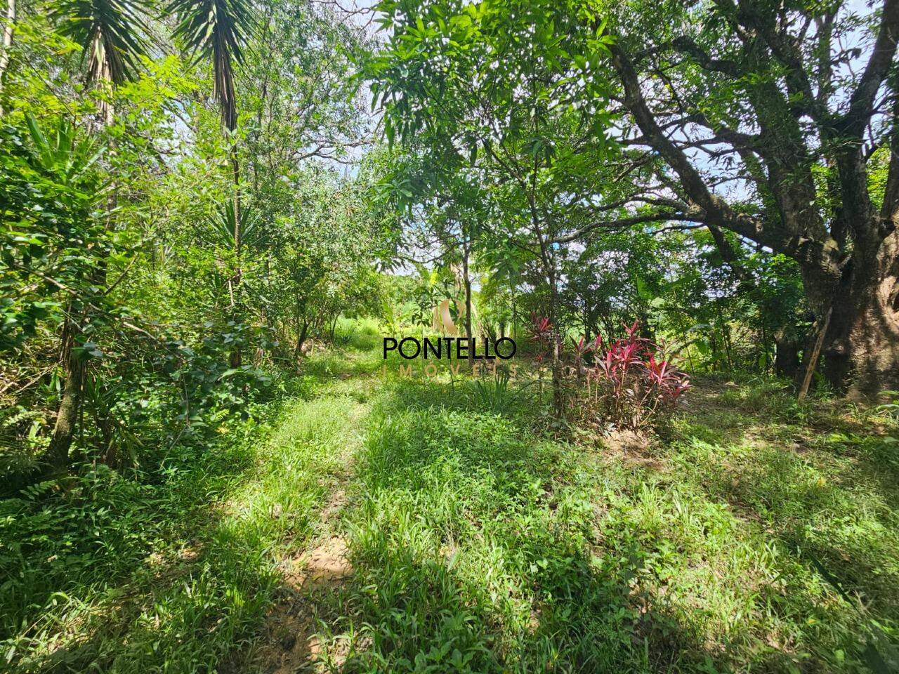 Chácara, 1 quarto, 5 hectares - Foto 7