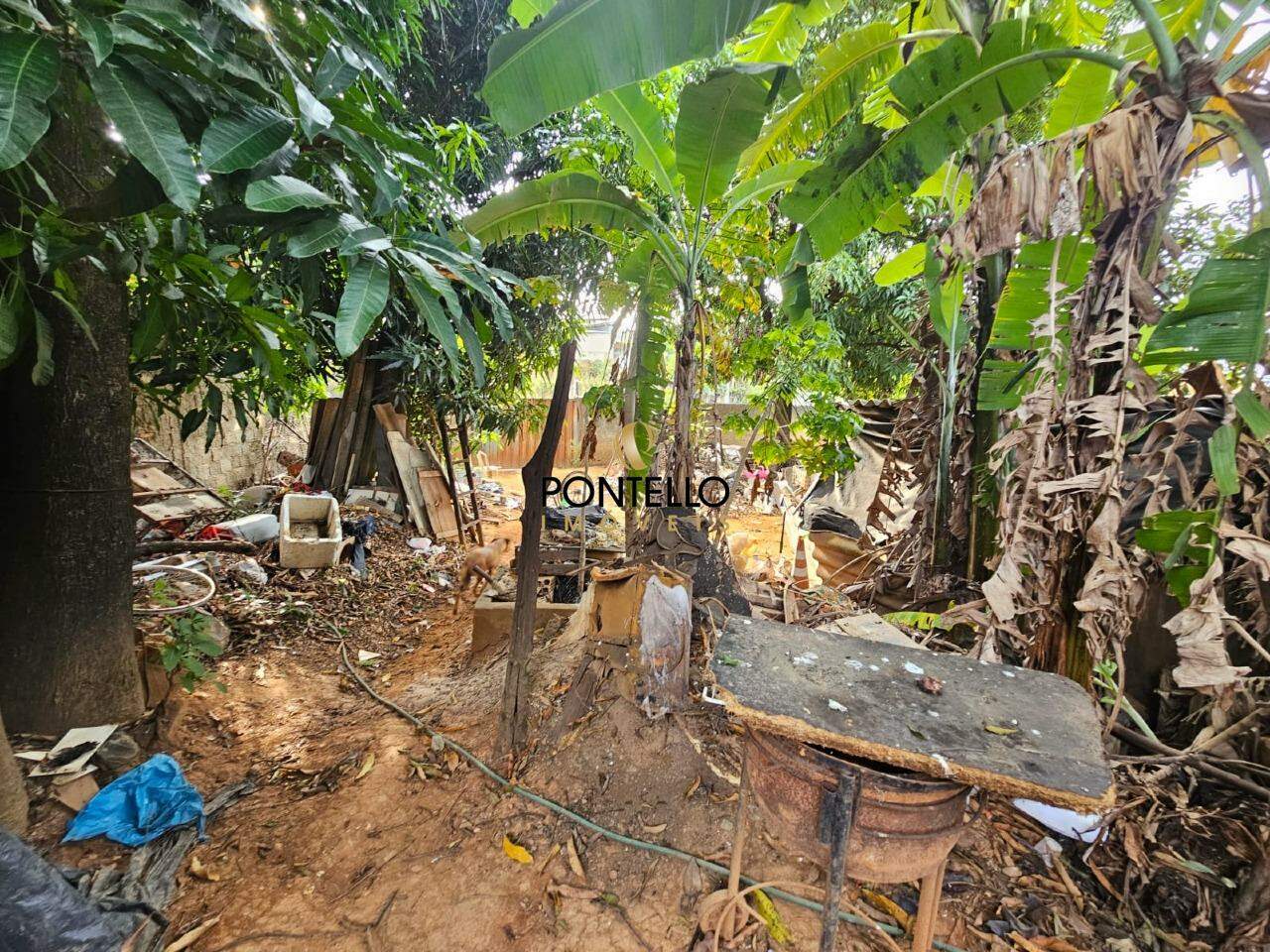 Terreno, 450 m² - Foto 6