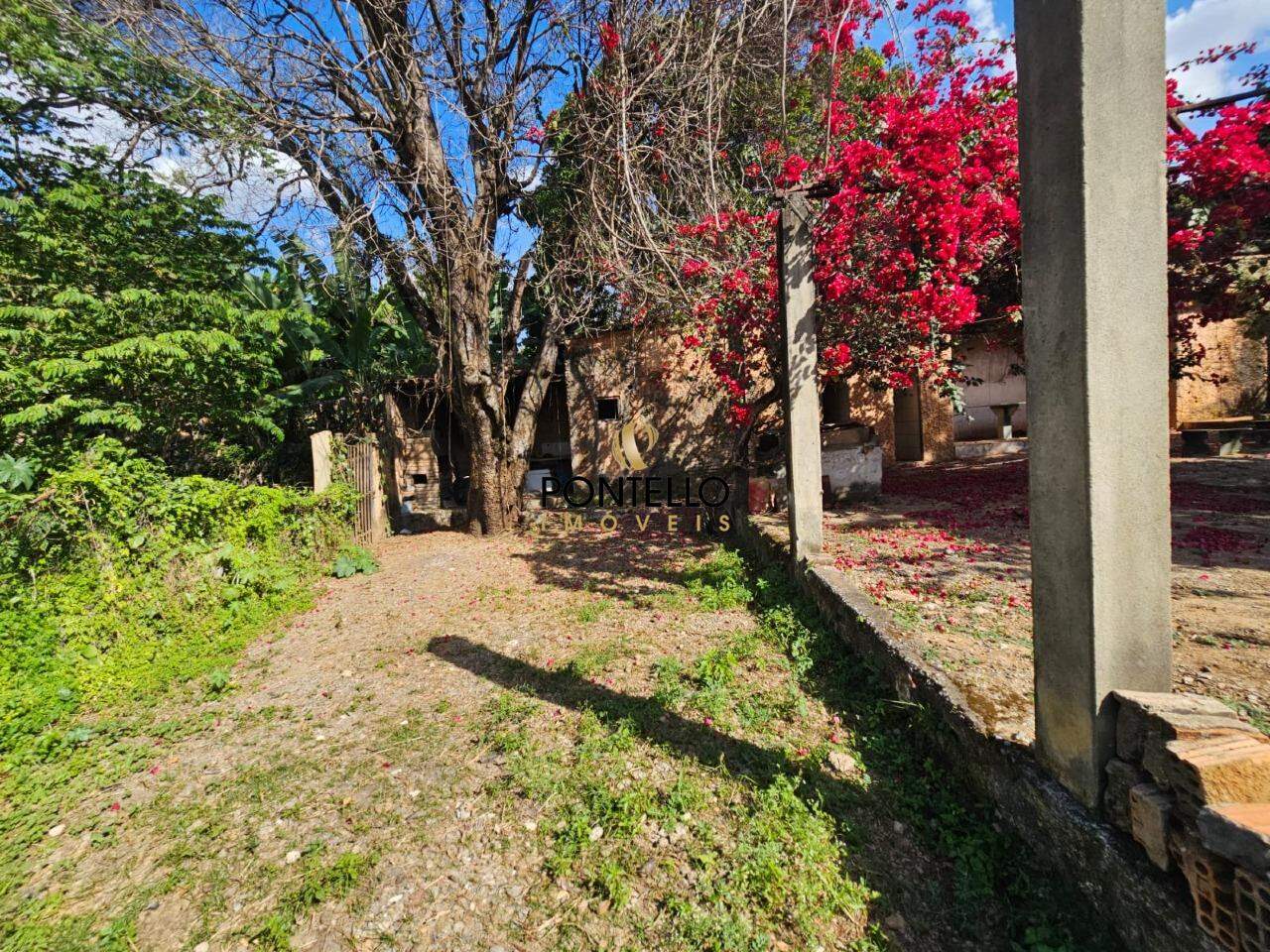 Chácara, 1 quarto, 1125 m² - Foto 8