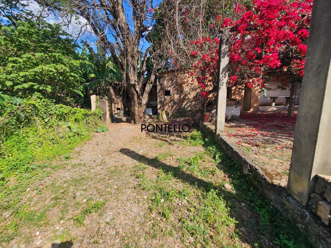 Chácara, 1 quarto, 1125 m² - Foto 11