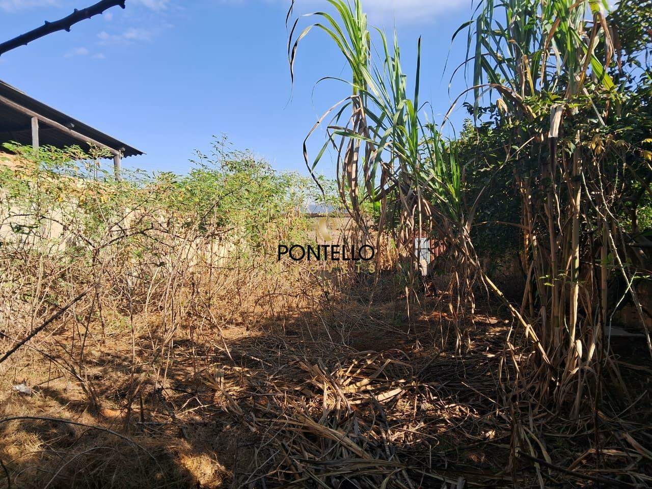 Terreno, 315 m² - Foto 6