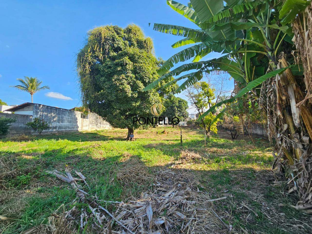 Chácara, 3 quartos, 3460 m² - Foto 13