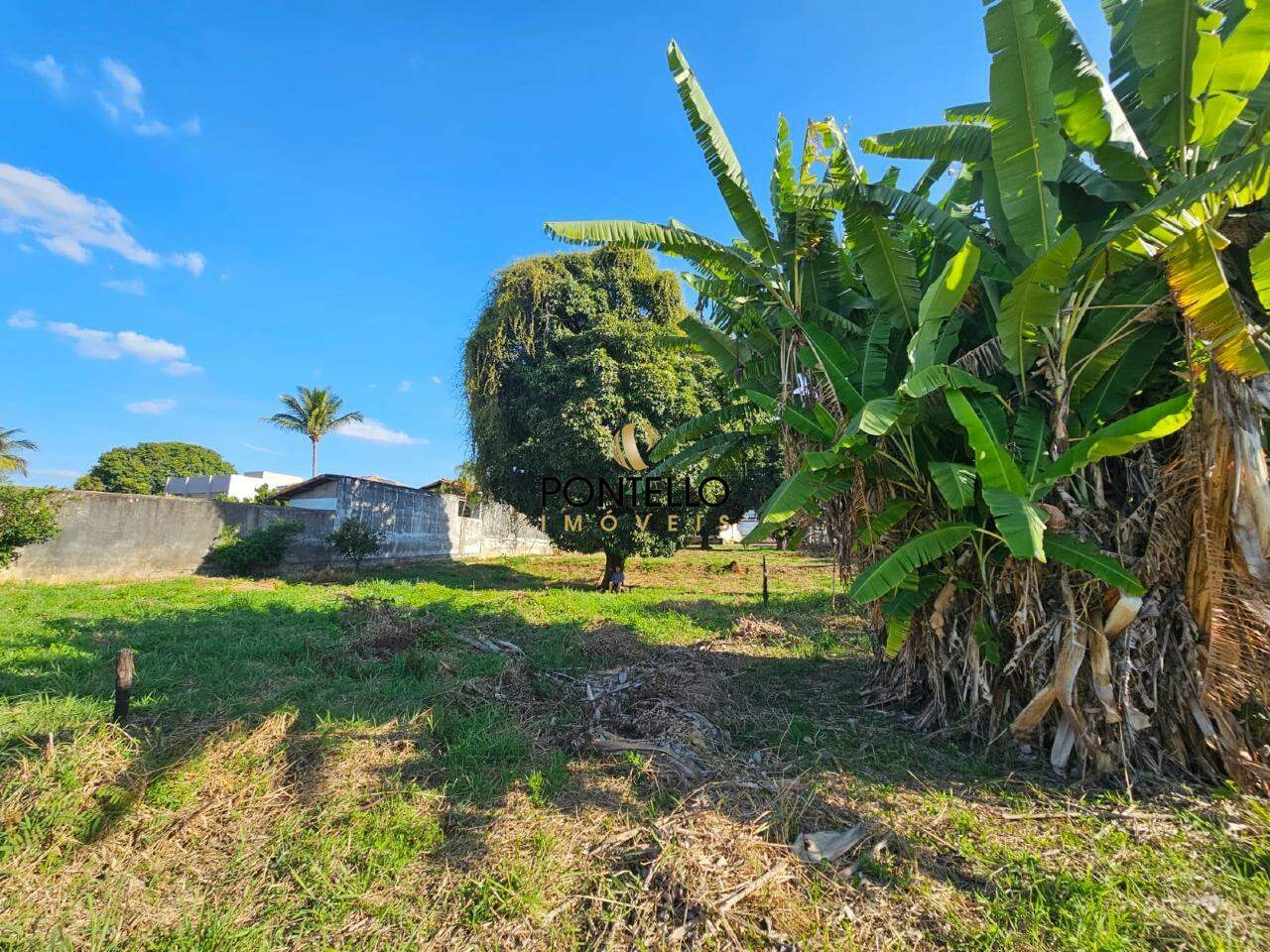 Chácara, 3 quartos, 3460 m² - Foto 19