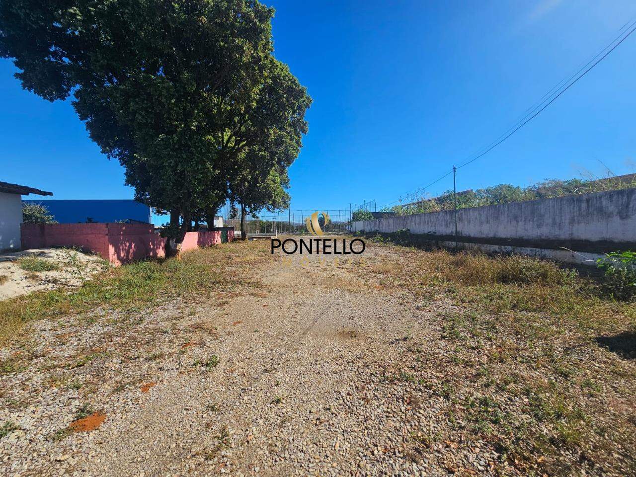 Chácara, 3 quartos, 2658 m² - Foto 2