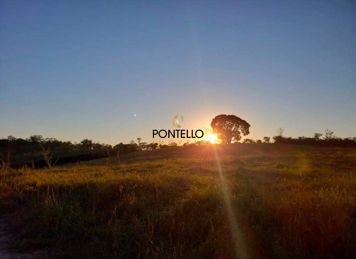Fazenda, 2011 m² - Foto 10