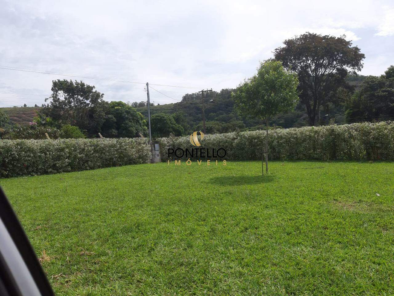Chácara, 4 quartos, 3964 m² - Foto 5