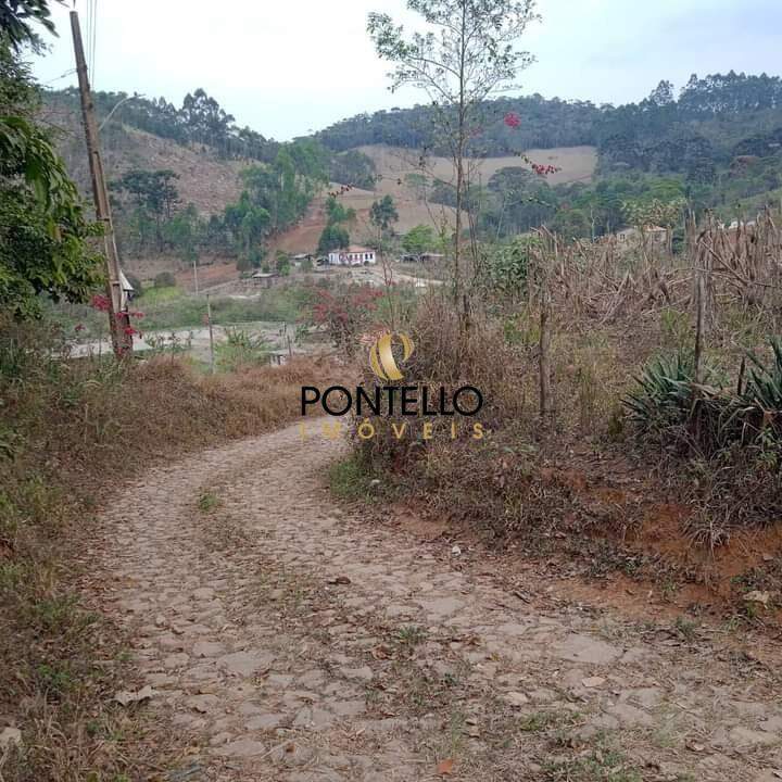 Chácara, 4 quartos, 4 hectares - Foto 11