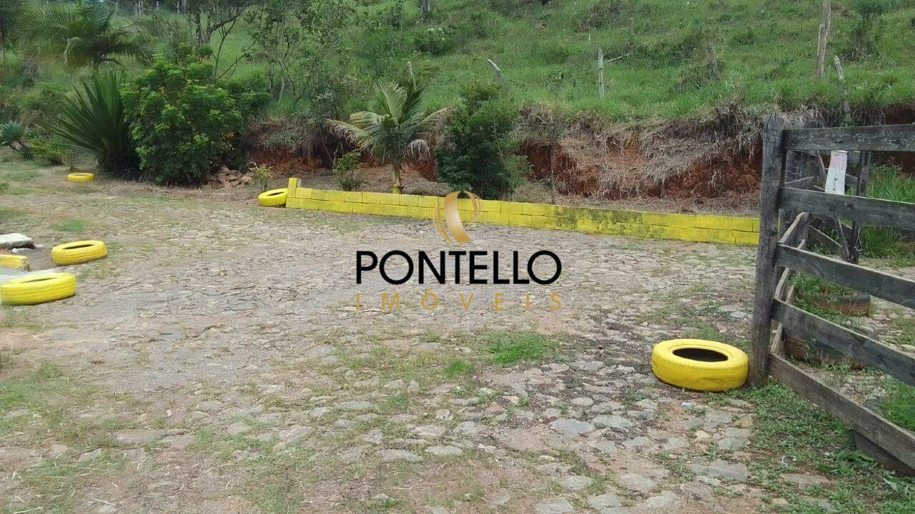 Chácara, 4 quartos, 4 hectares - Foto 12