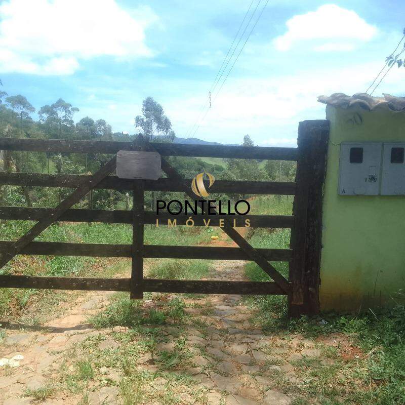 Chácara, 4 quartos, 4 hectares - Foto 3