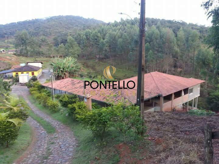 Chácara, 4 quartos, 4 hectares - Foto 14