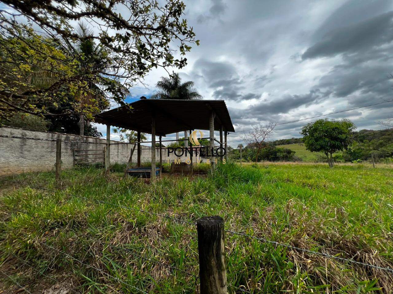Sítio, 4 quartos, 9000 m² - Foto 15