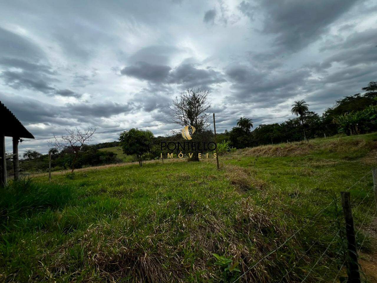 Sítio, 4 quartos, 9000 m² - Foto 14