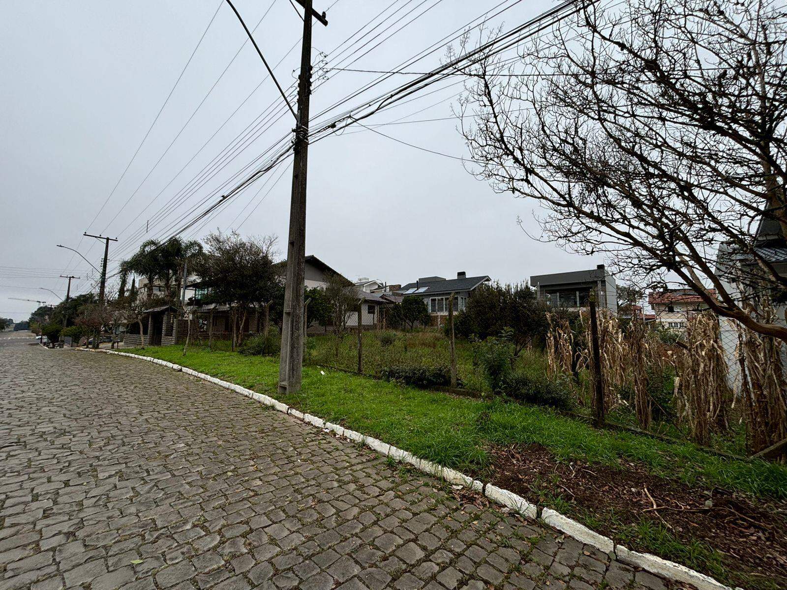 Terreno à venda no Vicentina: 