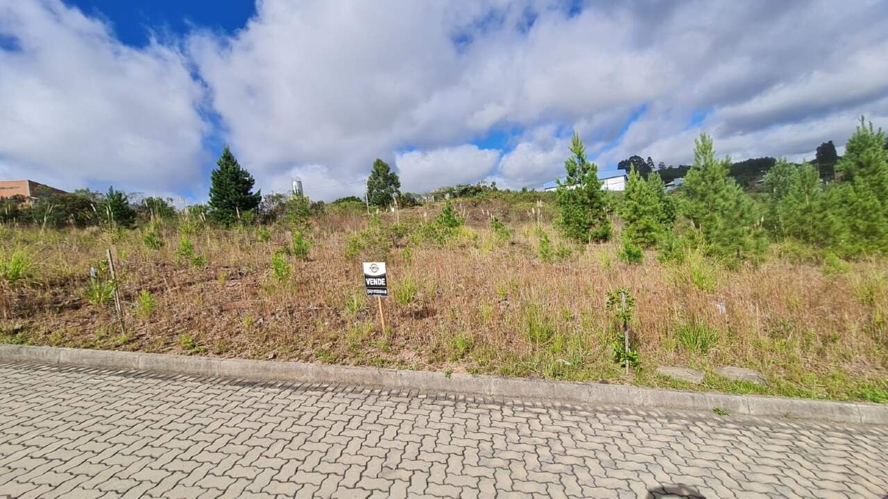 Terreno à venda no Belvedere: 