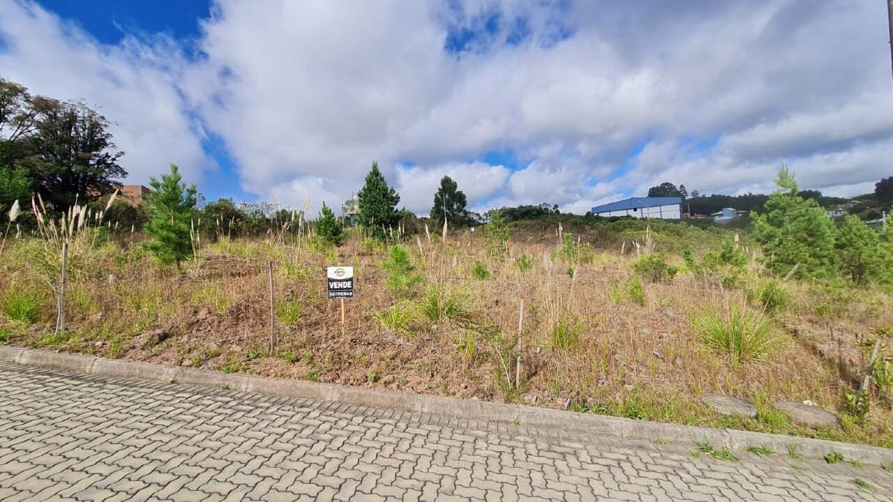 Terreno à venda no Belvedere: 
