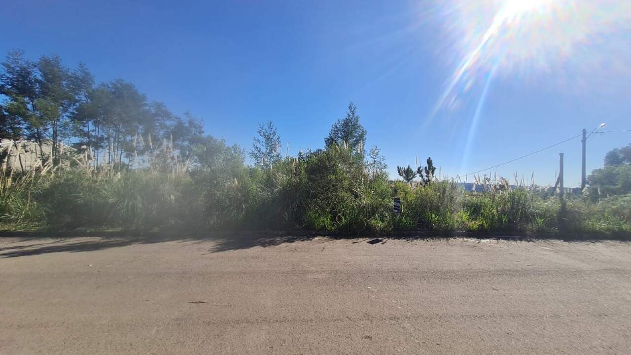 Terreno à venda no Monte Pasqual: 