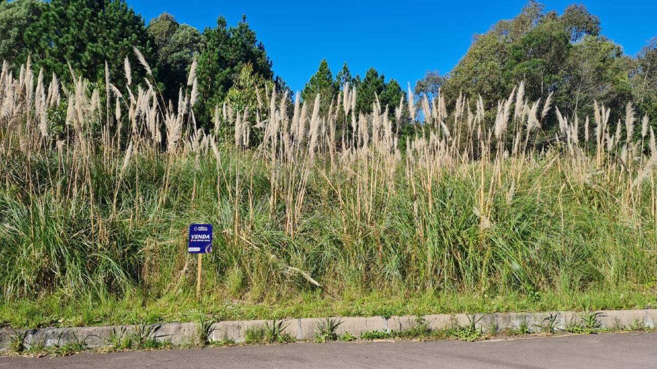Terreno à venda no Monte Pasqual: 