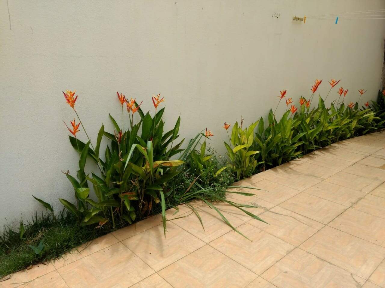 Casa Comercial para aluguel no Bom Pastor: Casa Comercial para alugar, Bom Pastor - Divinópolis/MG