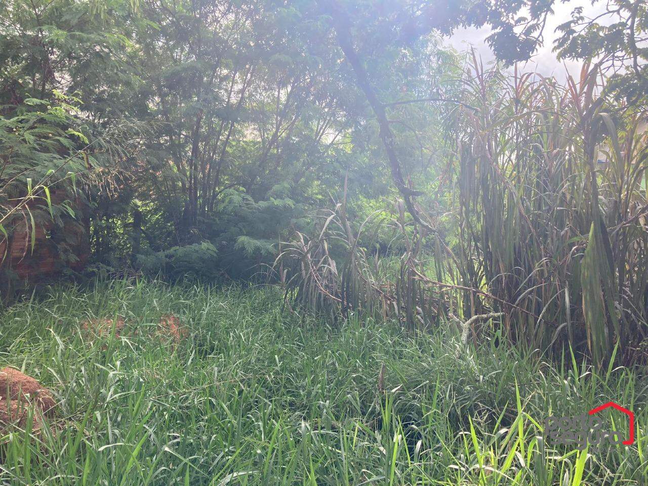 Lote para aluguel no Bela Vista: Lote para alugar, Bela Vista - Divinópolis/MG