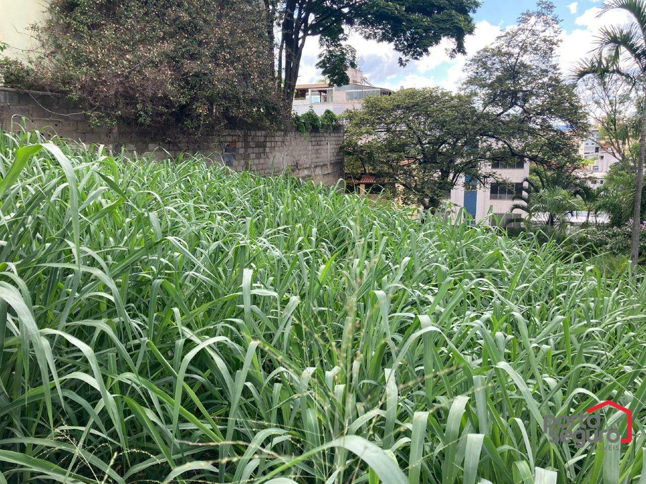 Lote para aluguel no Sidil: Lote para alugar, Sidil - Divinópolis/MG