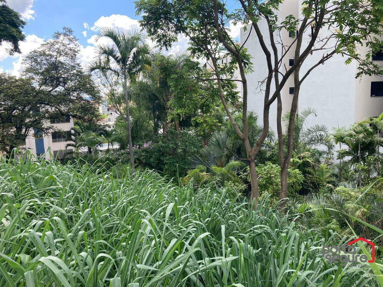 Lote para aluguel no Sidil: Lote para alugar, Sidil - Divinópolis/MG